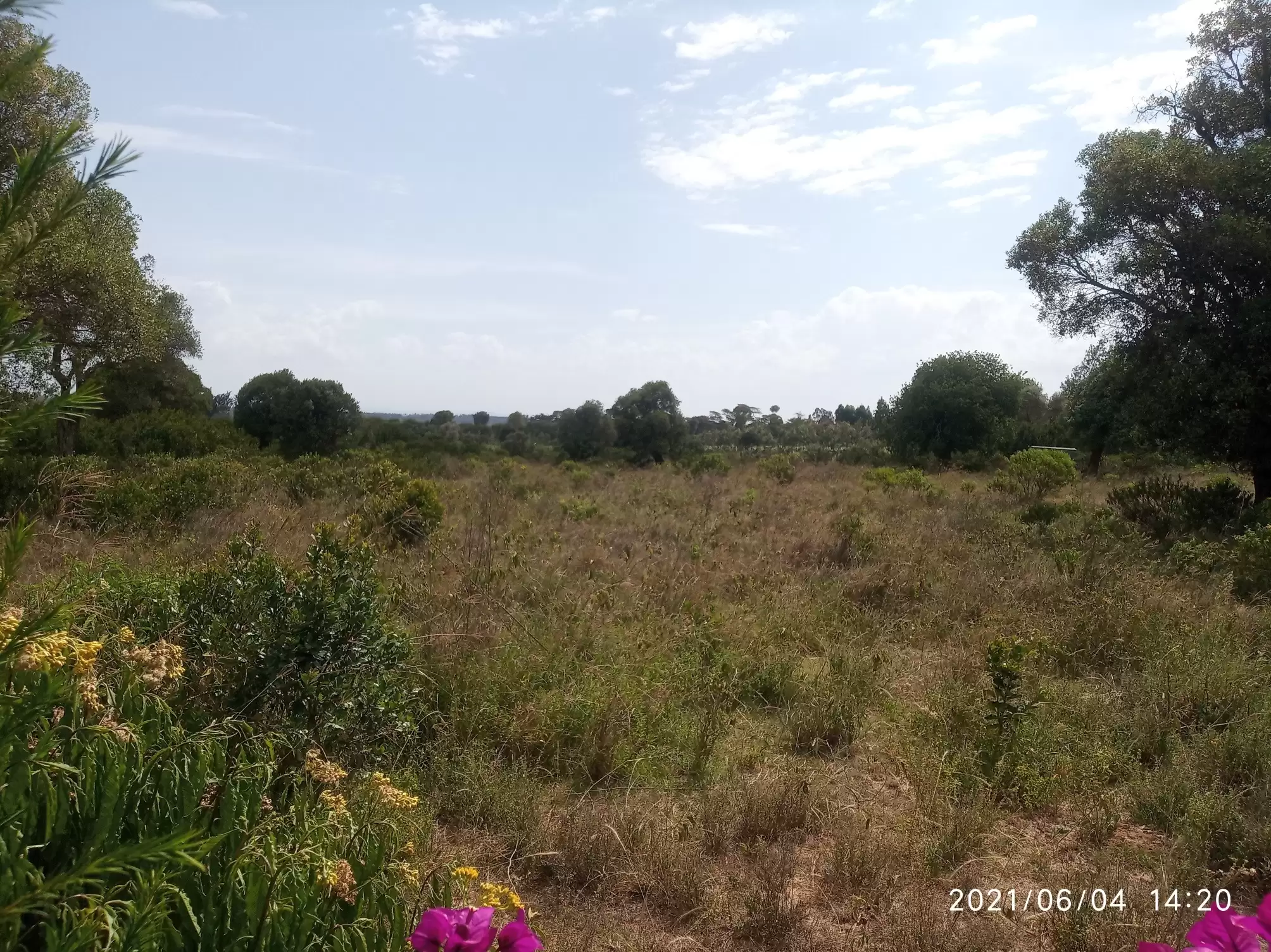 Land in Nanyuki for sale Burguret area Image