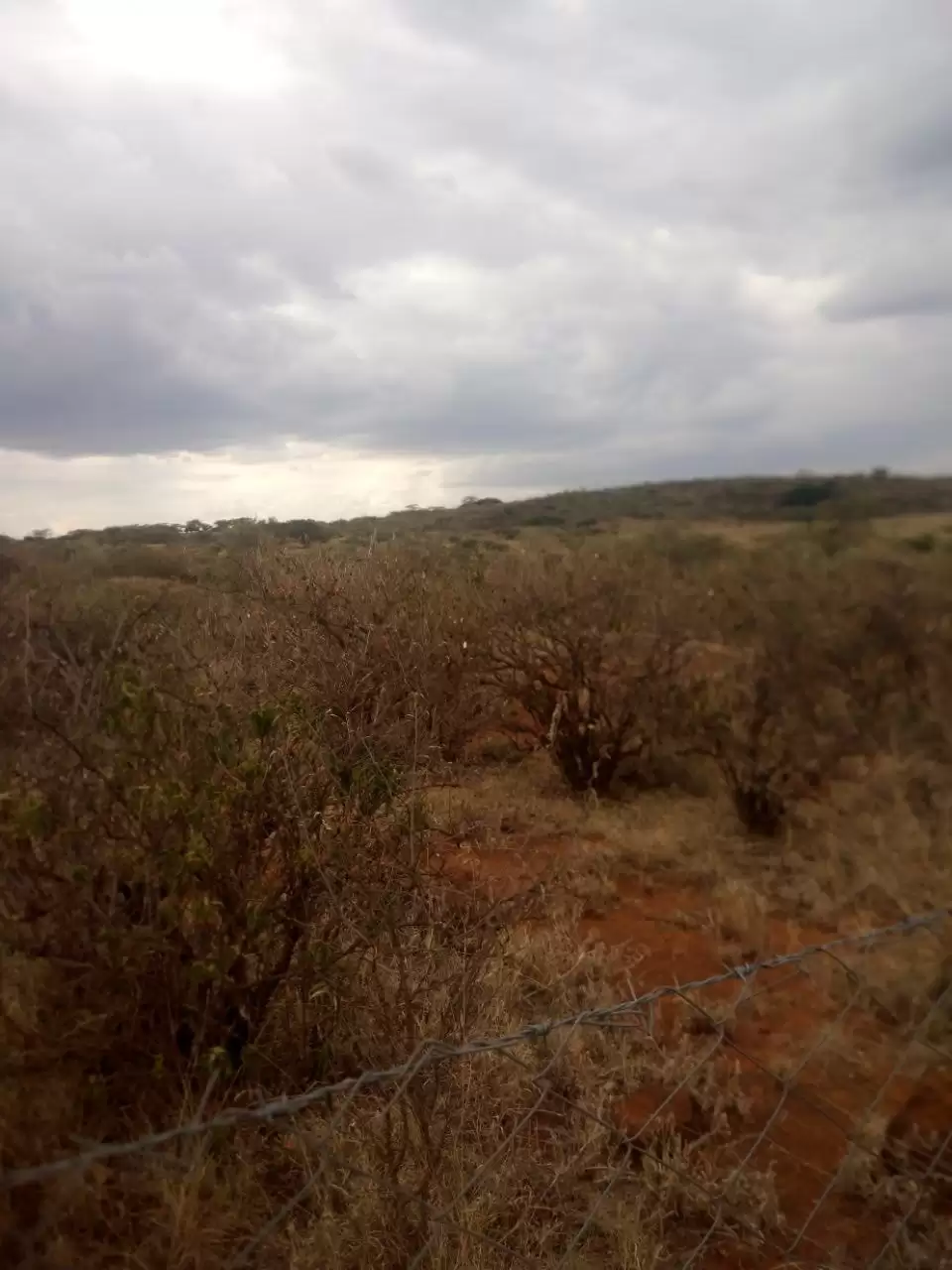 Land in Ngong Hills for sale Image