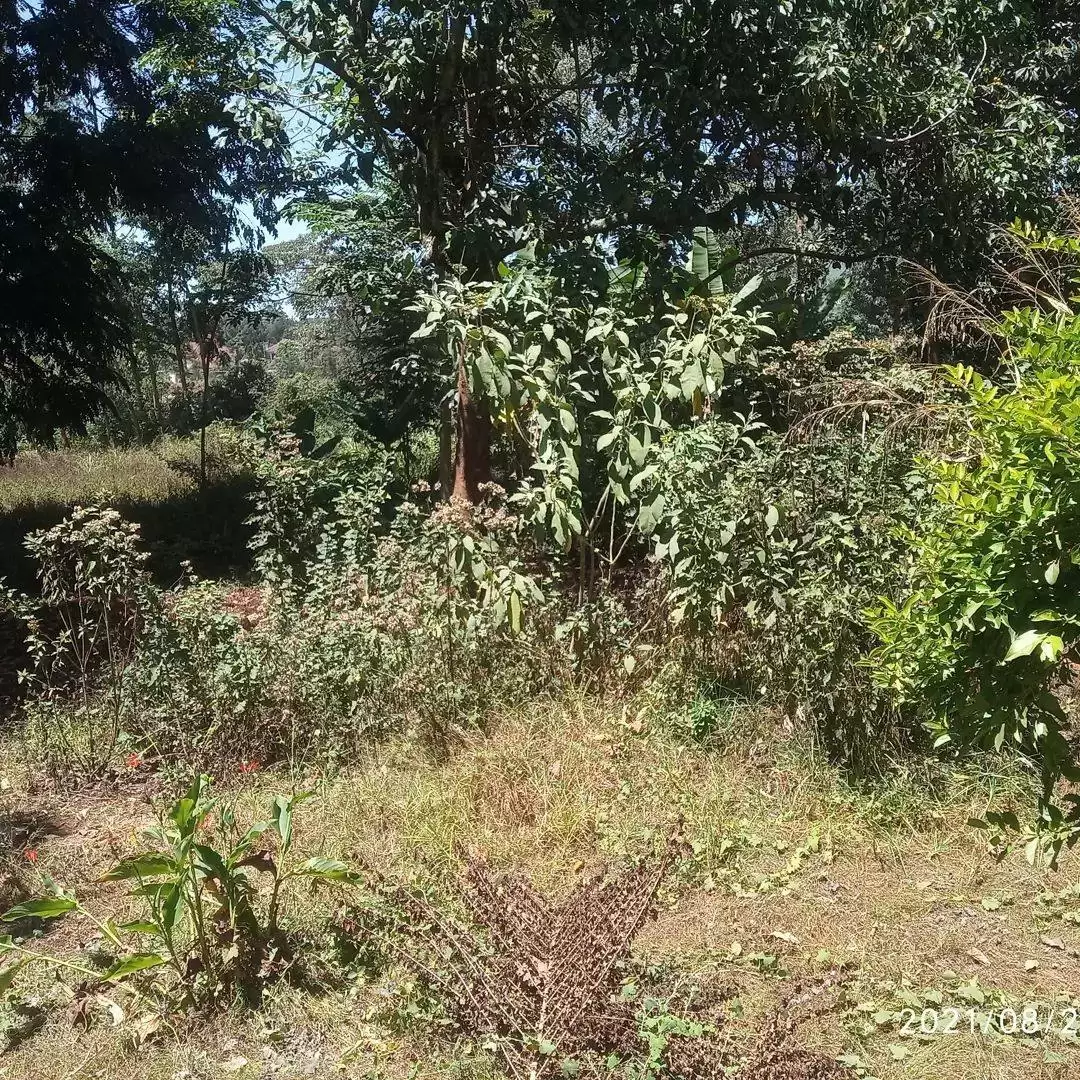 Land in Ridgeways Nairobi for sale Image