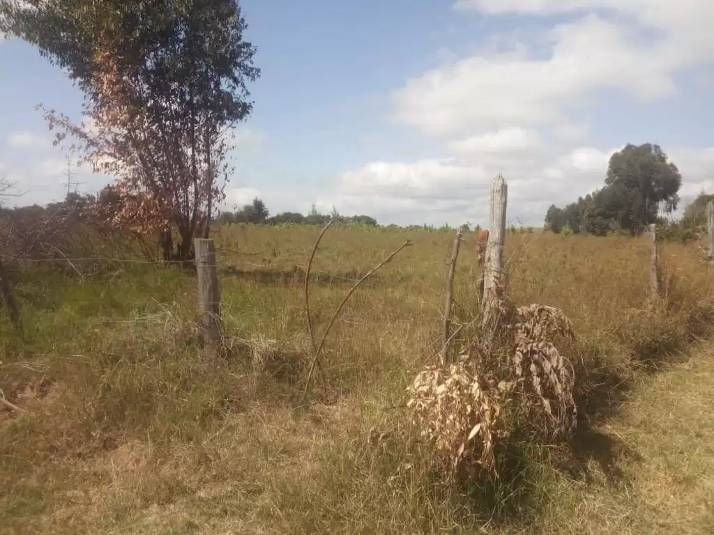 Land in Rongai Narumoro for sale Image