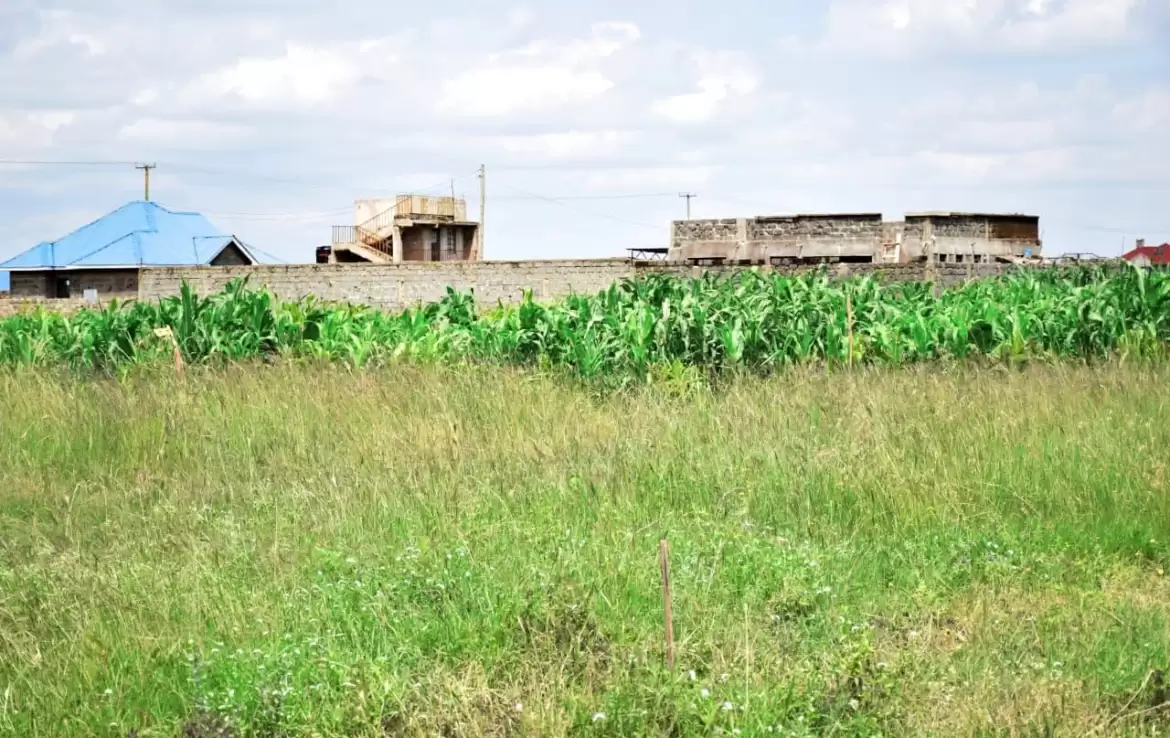 Land in Ruiru Kamakis bypass for sale Image