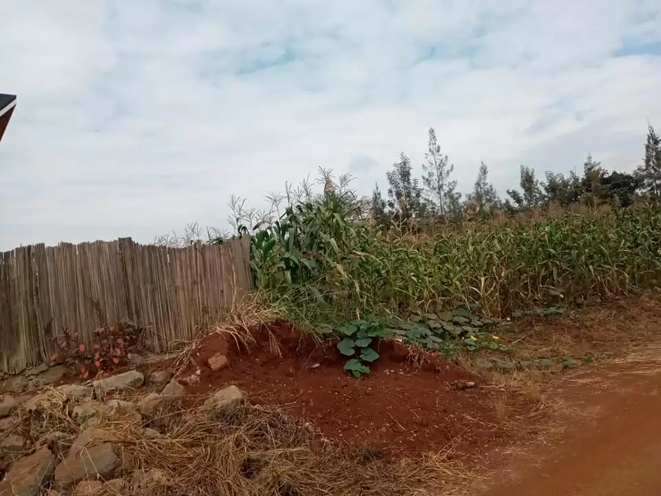 Land in Ruiru Kimbo for sale Image