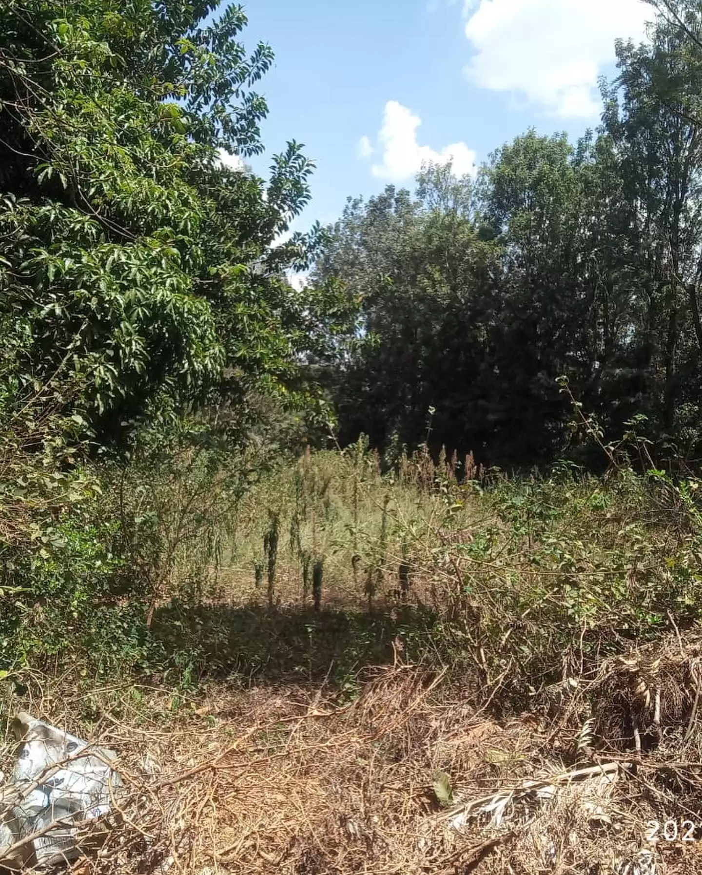 Land in Runda for sale Image