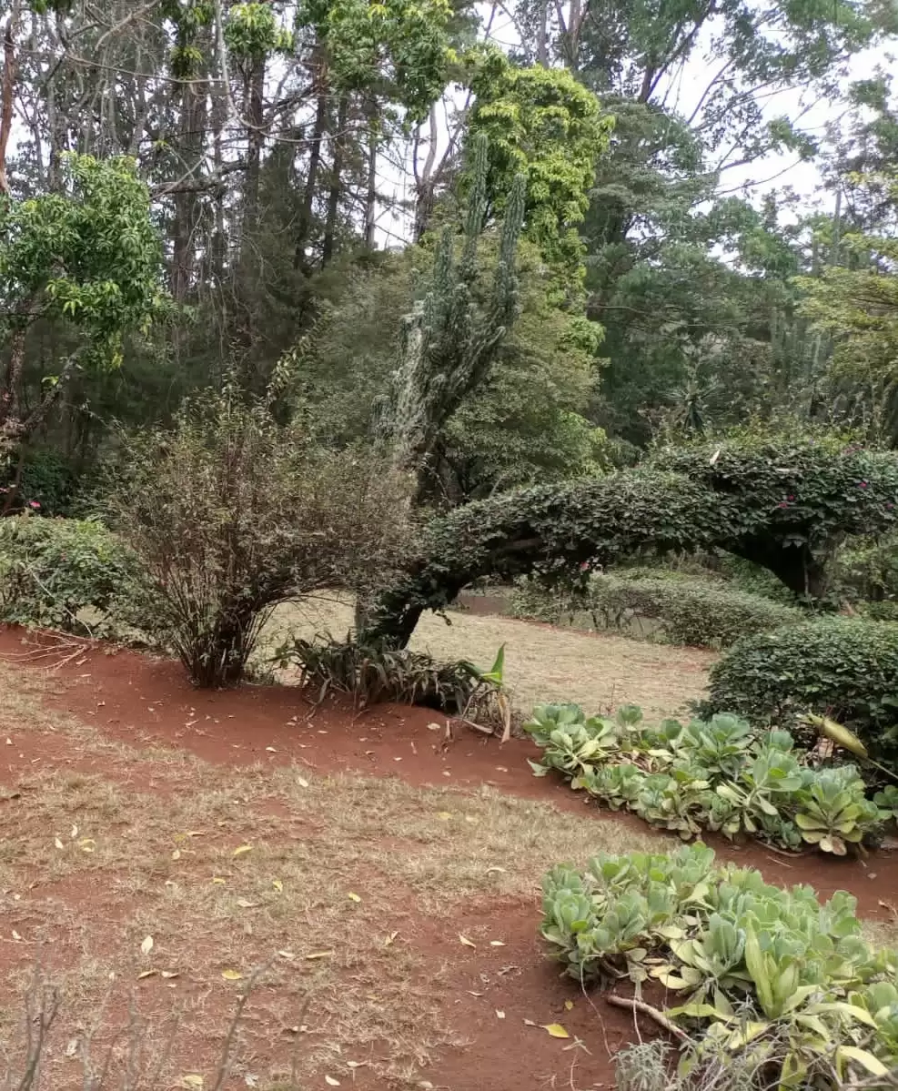 Land in Spring Valley Westlands Peponi Road for sale Image