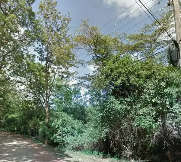 Land inclusive of house for sale in Karen Image