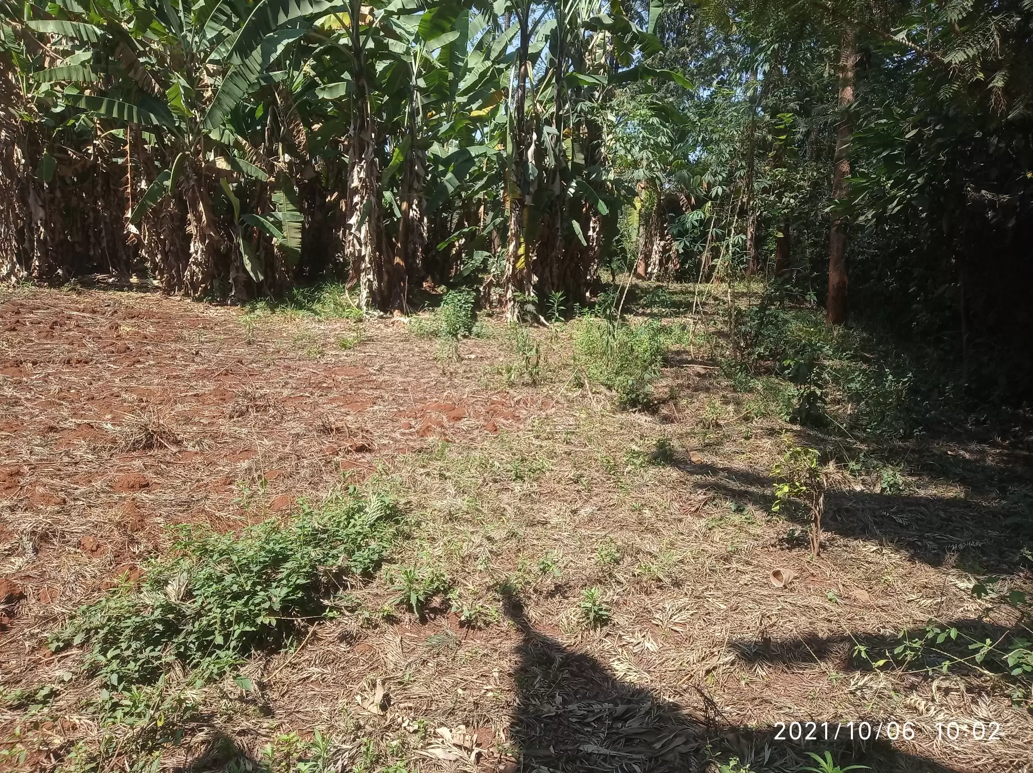 Lands in Nairobi Runda for sale Image