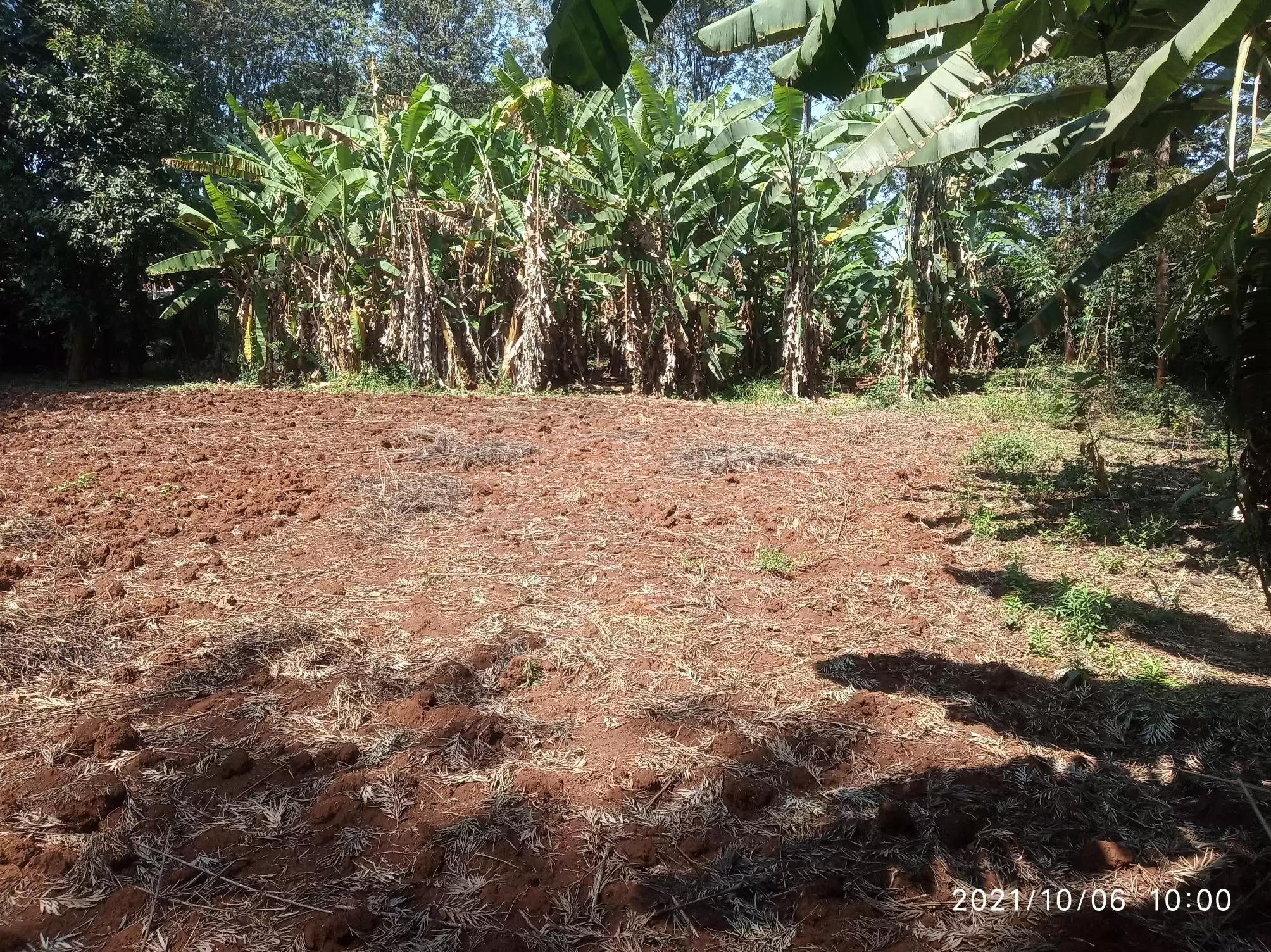 Lands in Nairobi Runda for sale Image