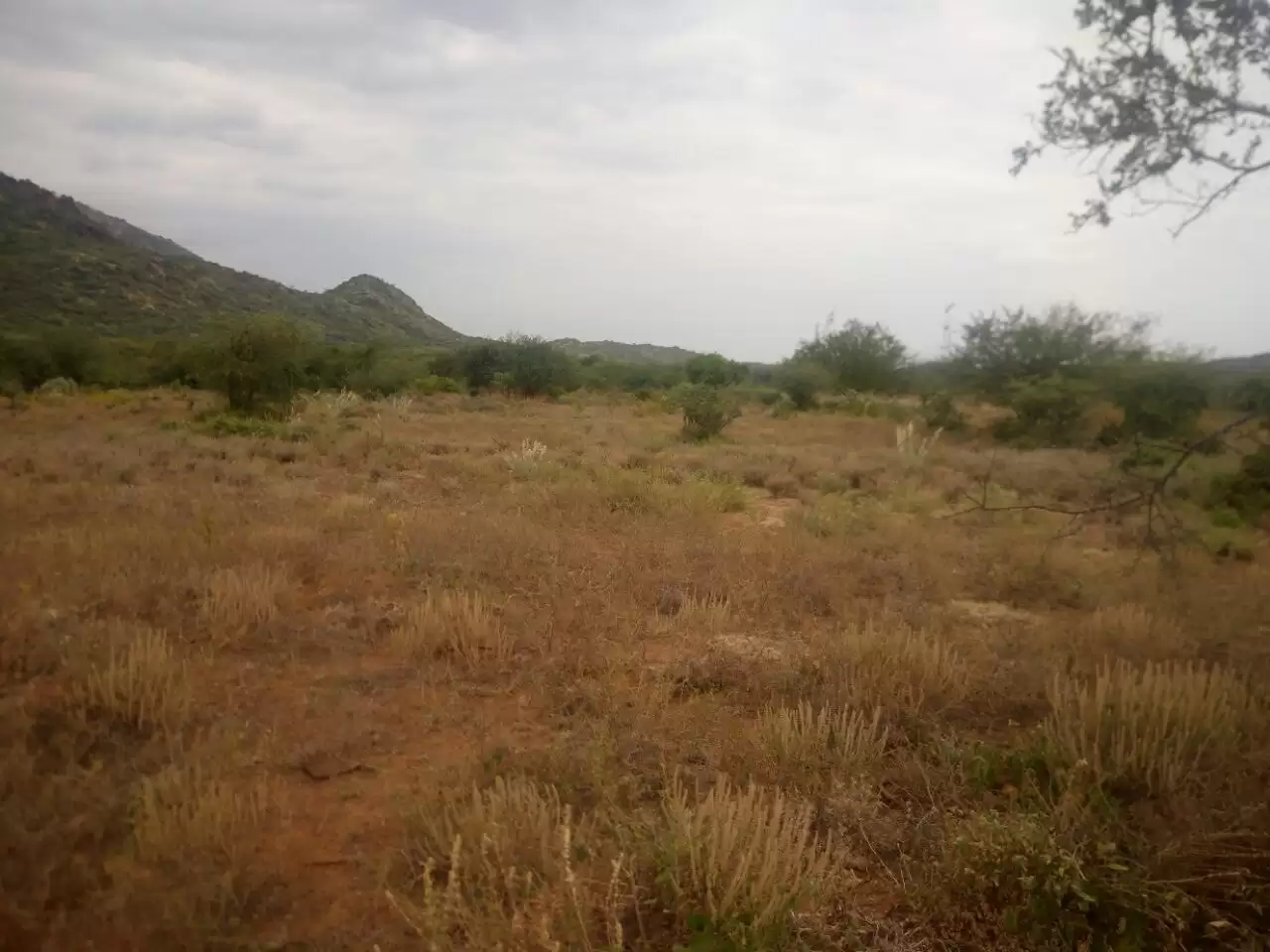 Ngong Suswa sgricultural land for sale Image