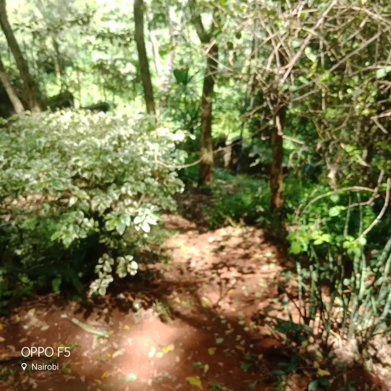 Old Muthaiga Land for sale in Muthaiga, Nairobi, Kenya Propscout
