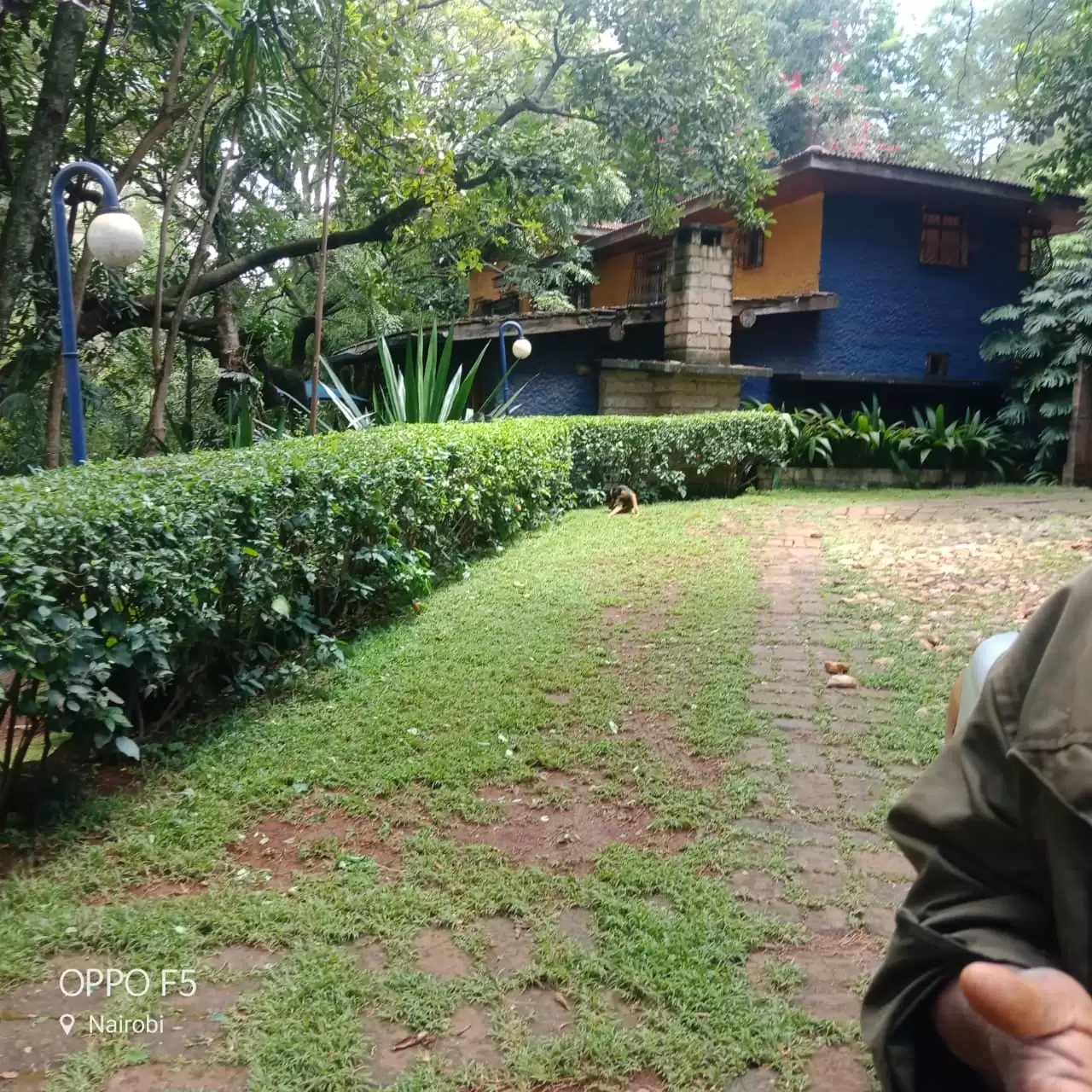 Old Muthaiga Land for sale in Muthaiga, Nairobi, Kenya Propscout