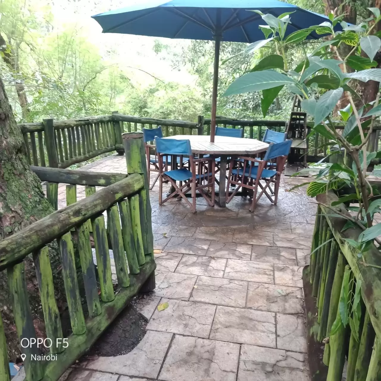 Old Muthaiga Land for sale in Muthaiga, Nairobi, Kenya Propscout