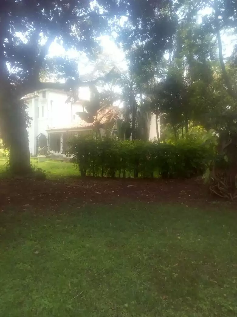 Old Muthaiga land with house  for sale Image