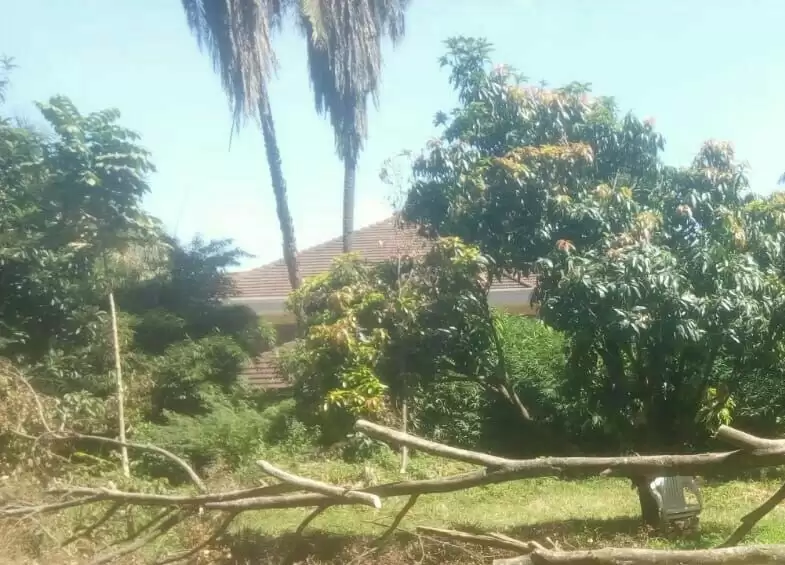 Old Muthaiga land with house  for sale Image