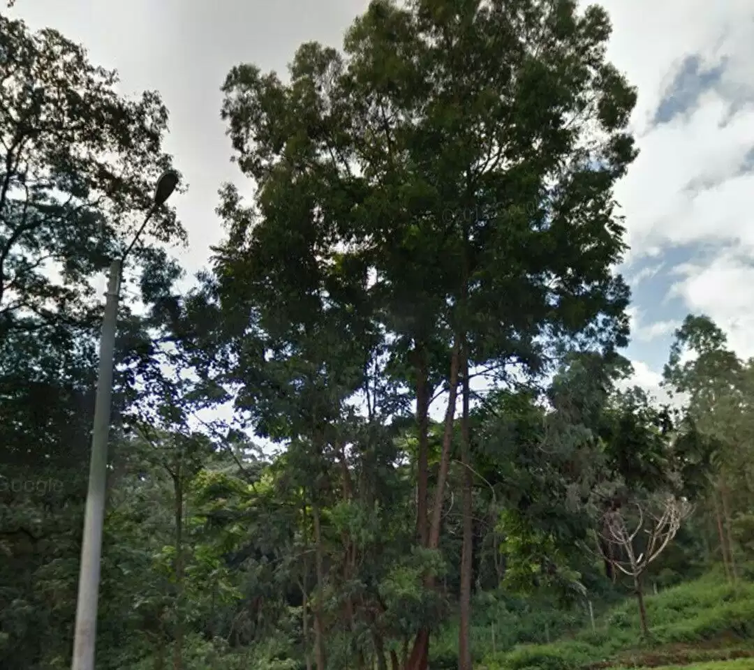 Plot for sale in Old Muthaiga Image