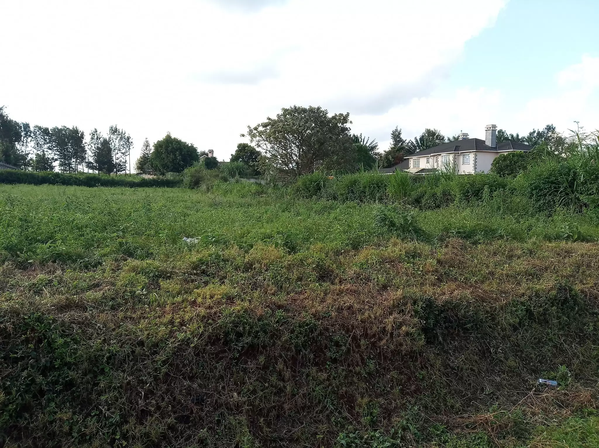 plot for sale in Runda estate Image