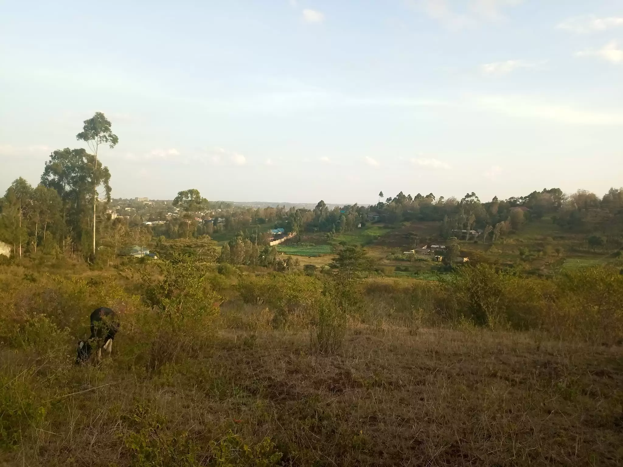 Plots for sale in Matasia Ngong Image