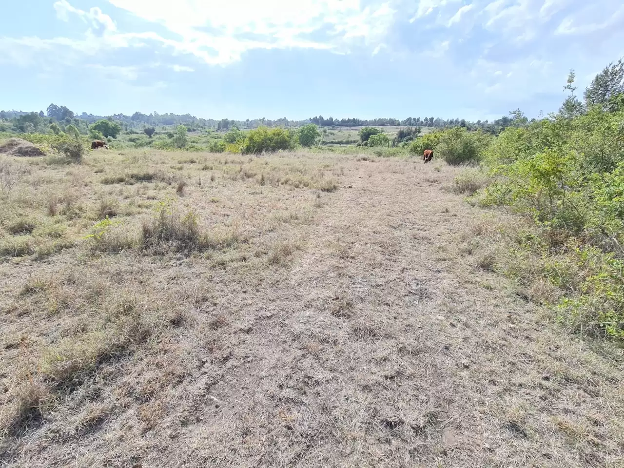 Prime agricultural Land for sale in Naru moro Image