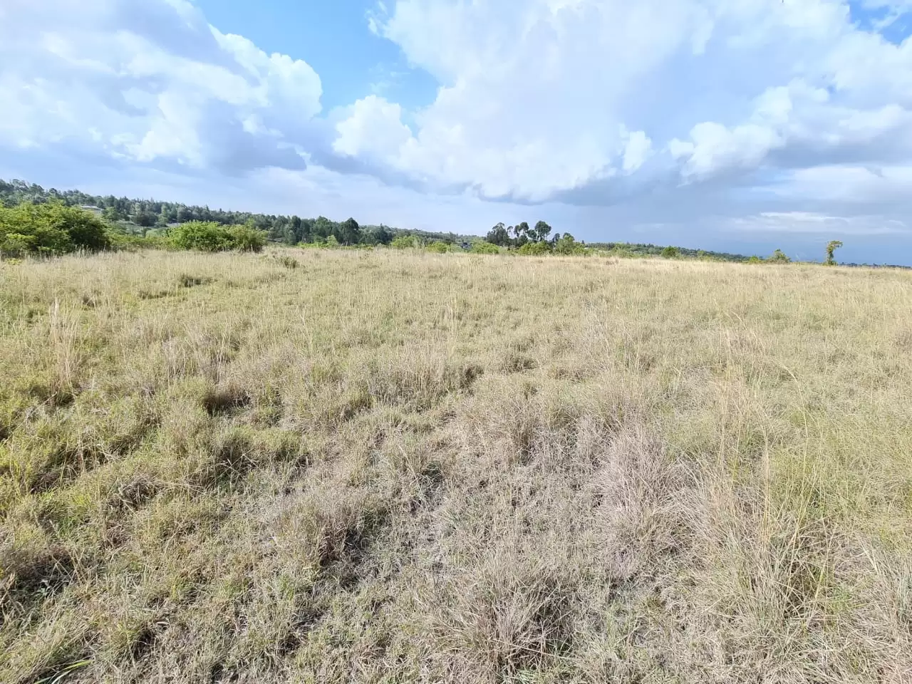 Prime agricultural Land for sale in Naru moro Image