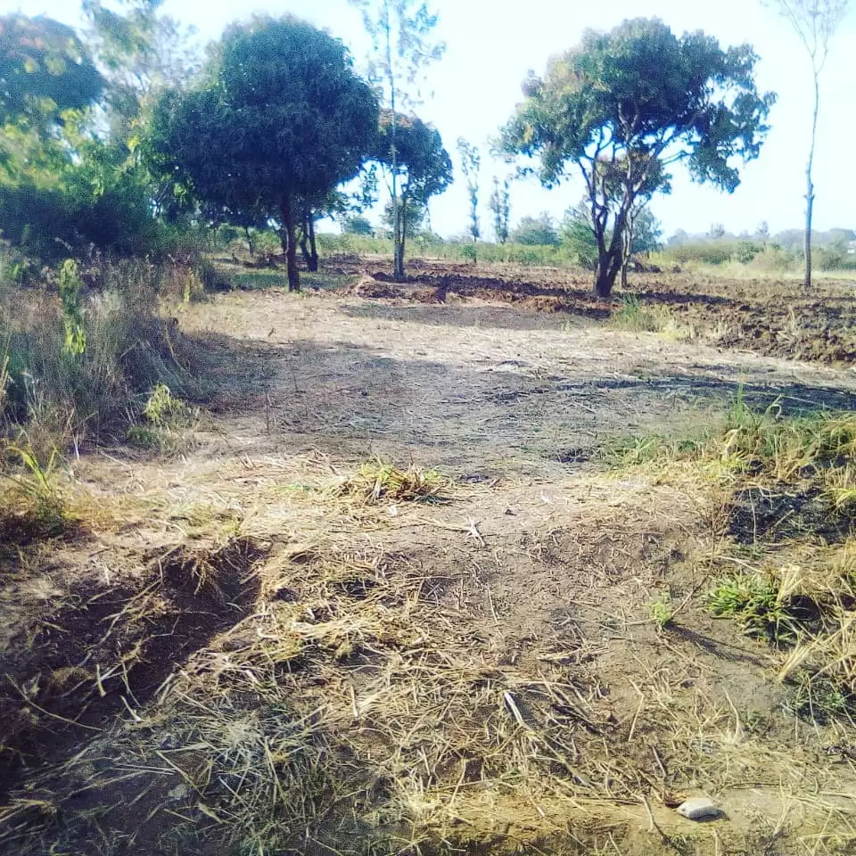 Prime land for sale in Juja Image