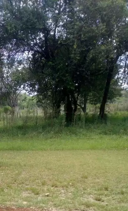 Prime land for sale in Karen Image