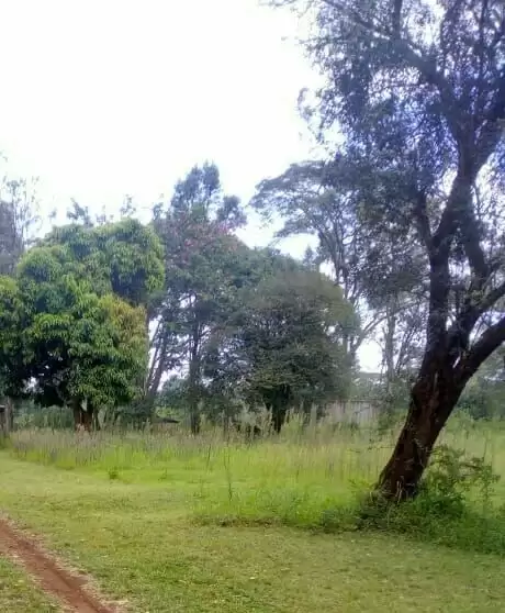 Prime land for sale in Karen Image