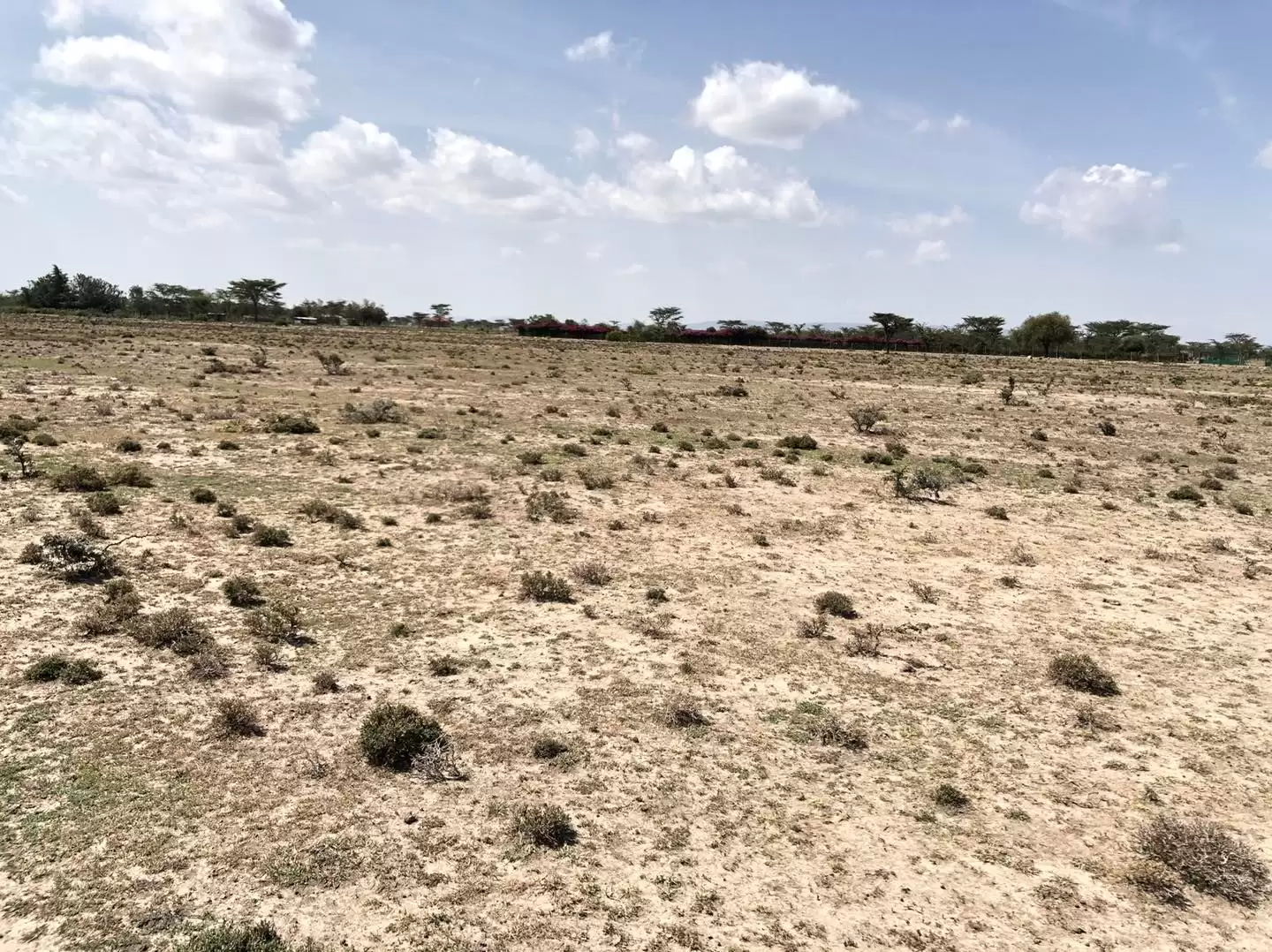 Prime plot for sale in Nanyuki near Ol pajeta Image