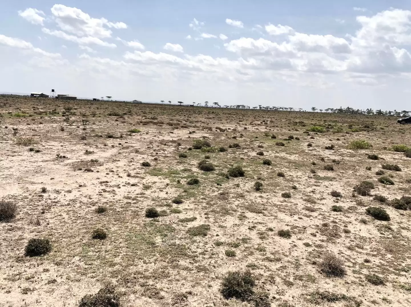 Prime plot for sale in Nanyuki near Ol pajeta Image