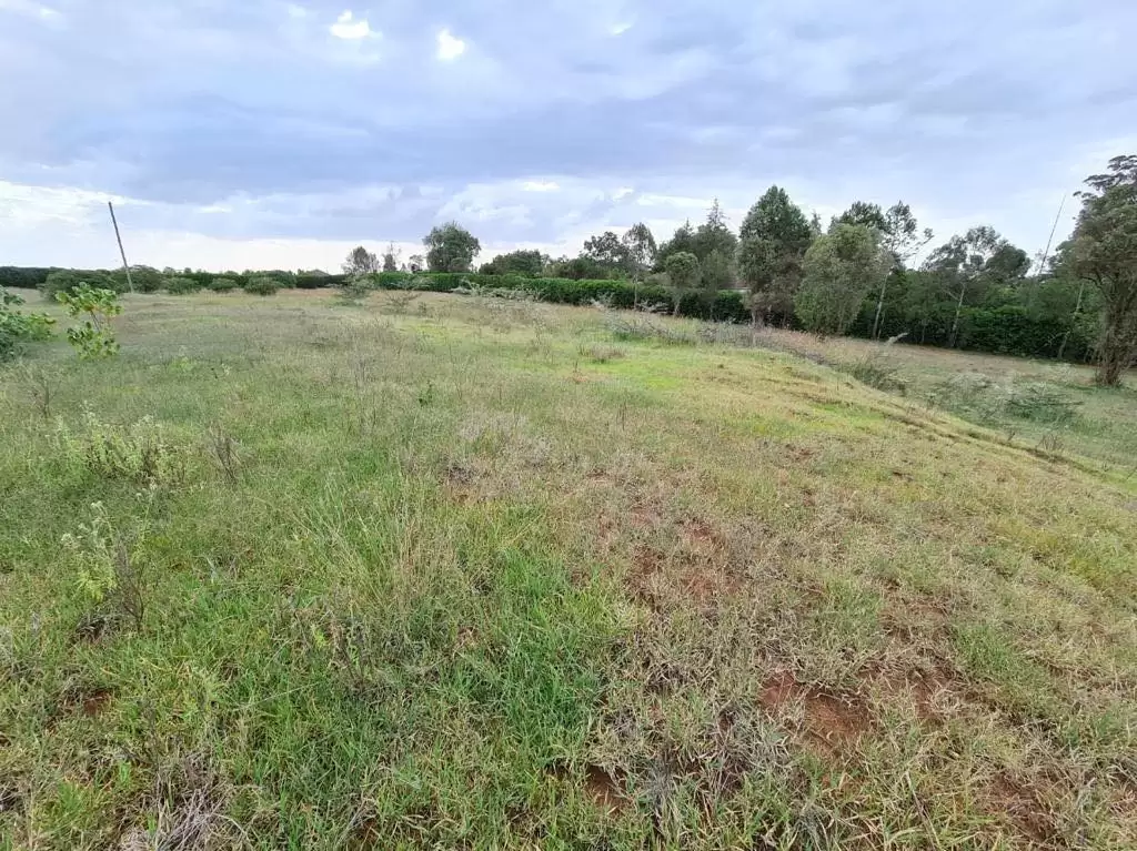 Prime Plot for sale in Nanyuki Town Image