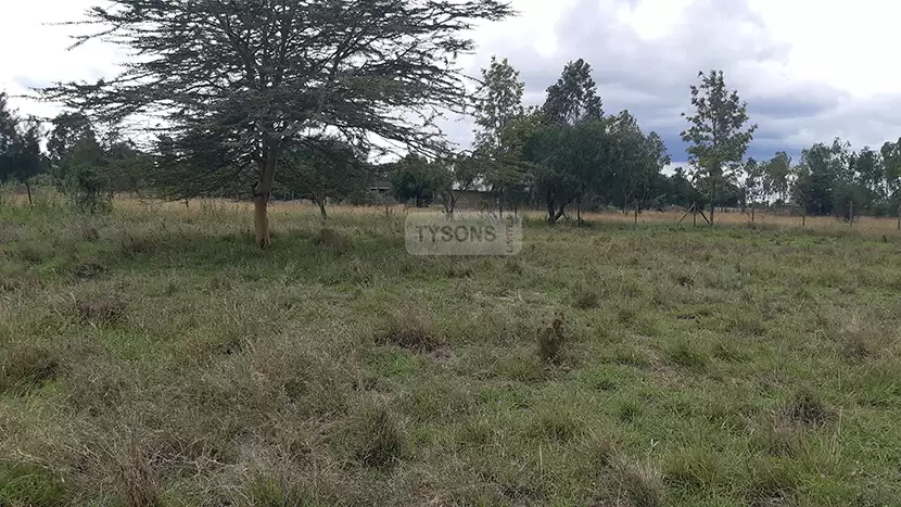 Quatre acre Land for sale in Kitengela Acasia Image