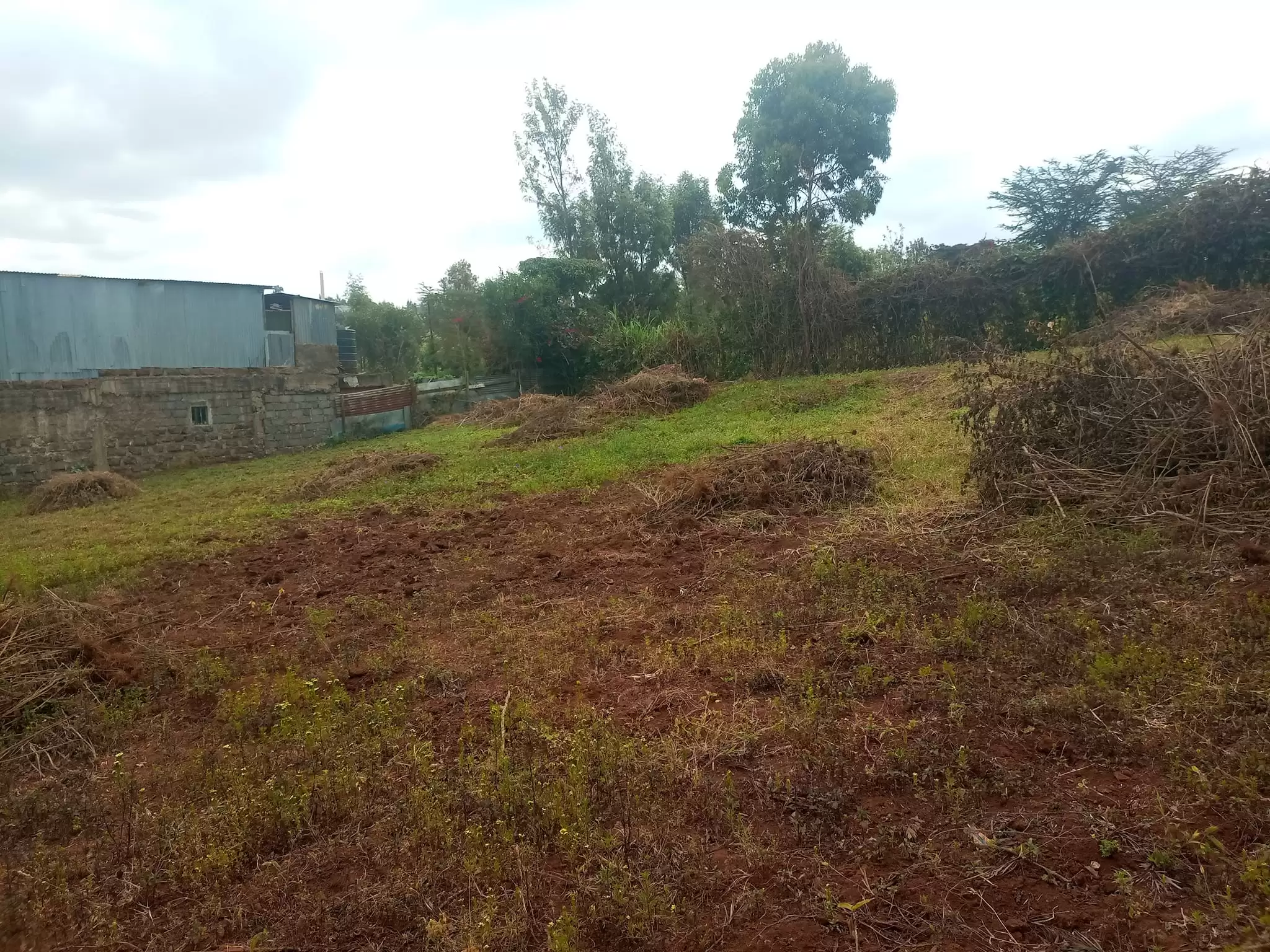 Quatre acre land for sale in Ngong Kibiko Image