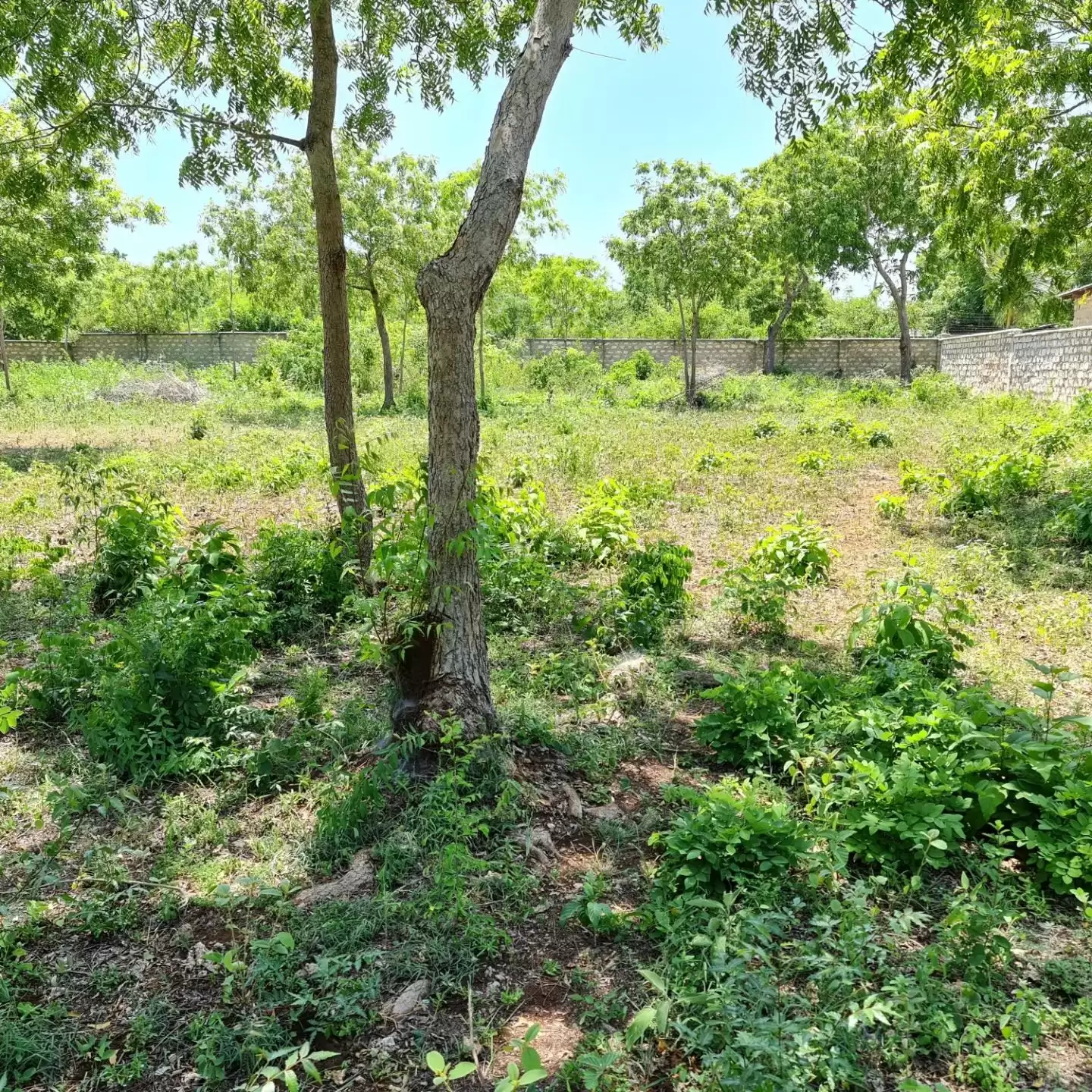 Quatre acre plot for sale in Diani Image