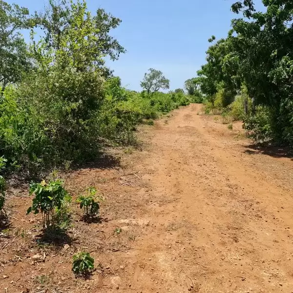 Quatre acre plot for sale in Diani Image