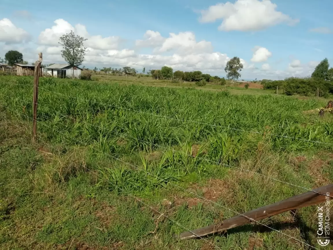 Quatre acre plot for sale in Nanyuki Mirera Image