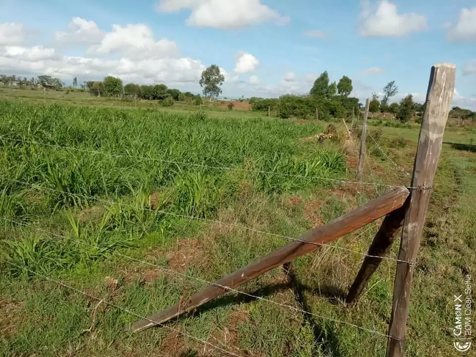 Quatre acre plot for sale in Nanyuki Mirera Image