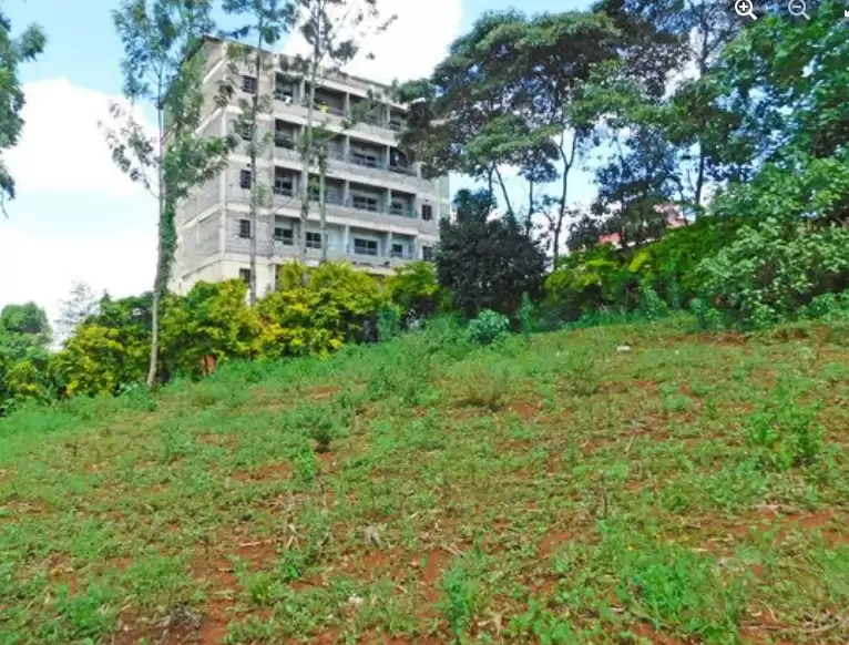 Quatre acre plot for sale in Ruaka Image