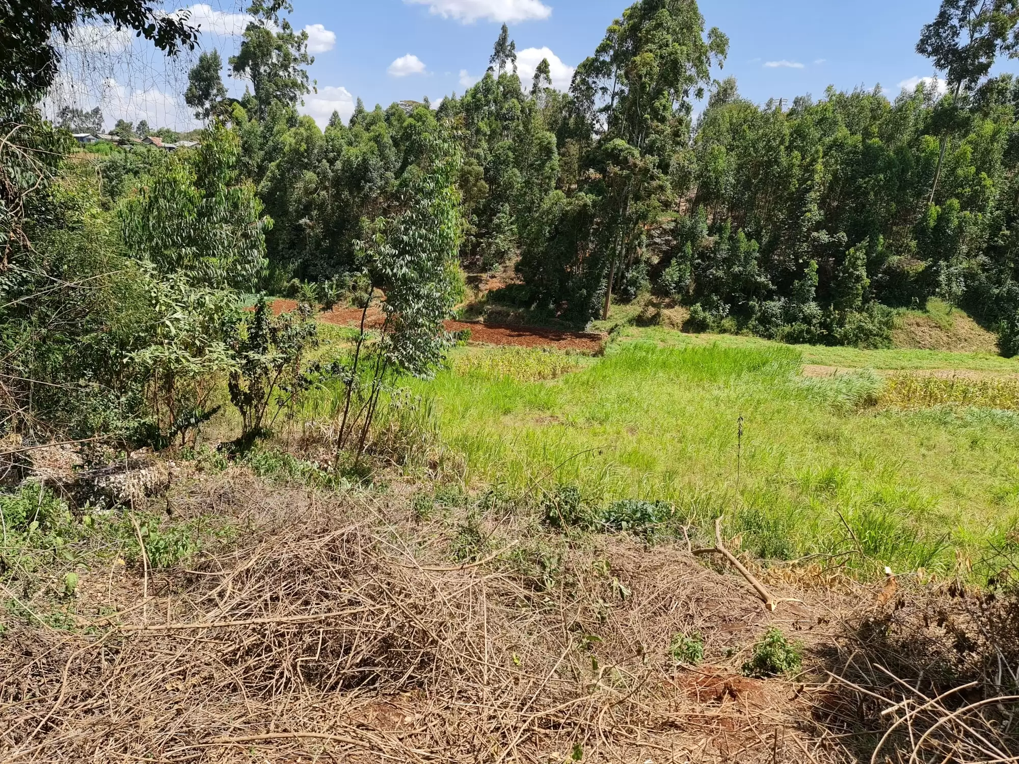 Quatre acre plot for sale in Wangige Nyathuna Image