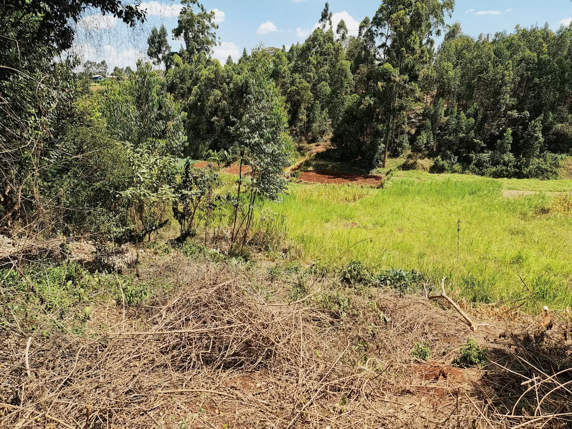 Quatre acre plot for sale in Wangige Nyathuna Image