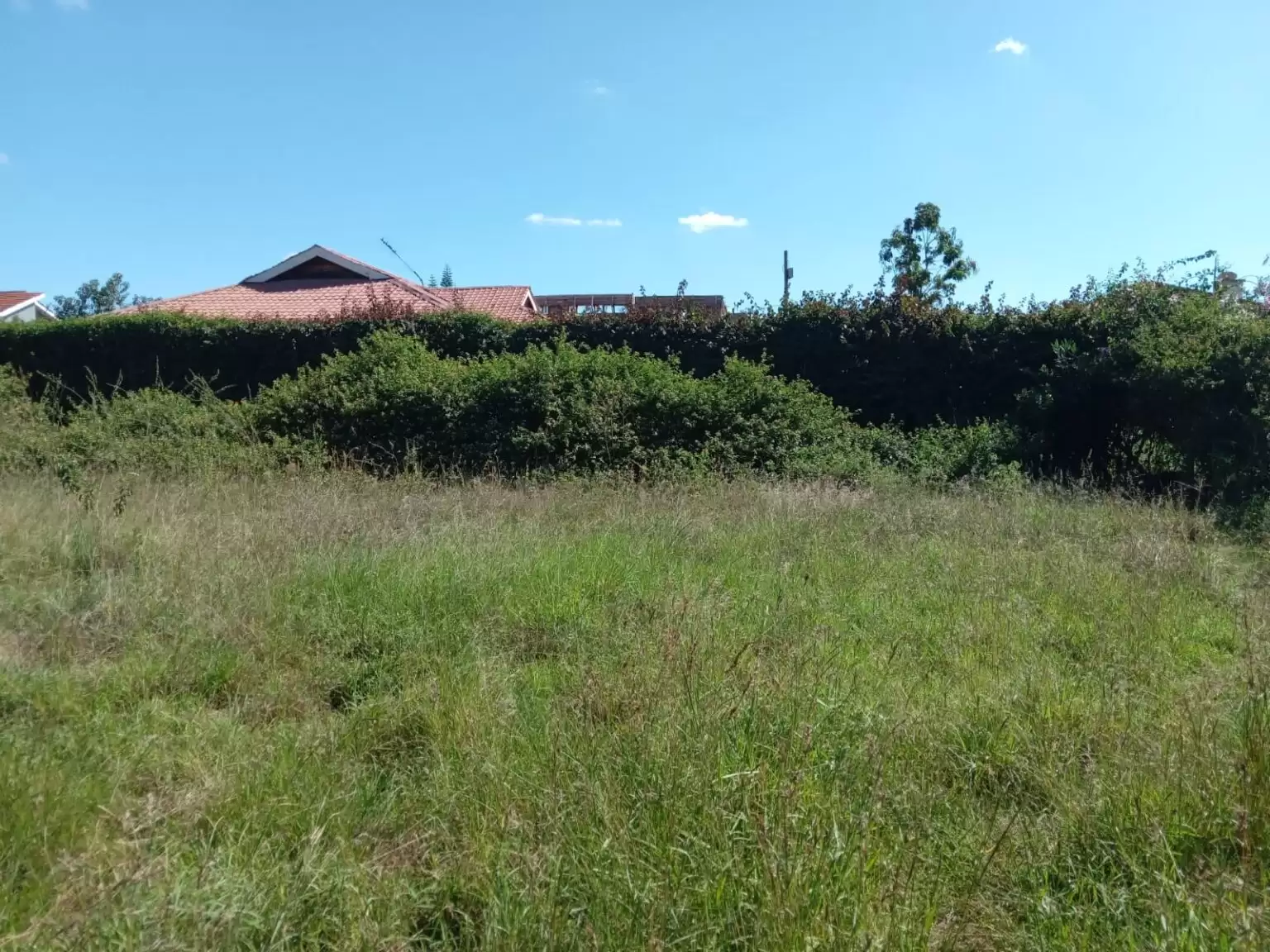 Quatre acre plots for sale in Kahawa Sukari Image