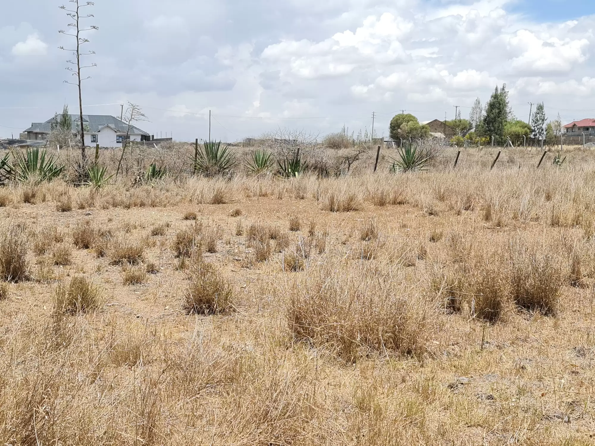 Quatre acre plots for sale in Katani Syokimau Image