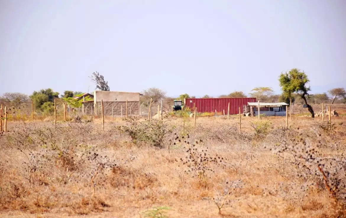 Silicone Valley ruiru kamakis land for sale Image