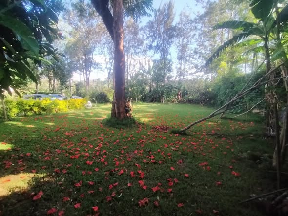 LOVELY 1 BEDROOM BUNGALOW TO LET IN KAREN