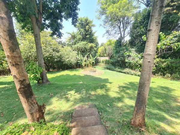 Lovely 4 Bedroom Bungalow For Rent in Loresho