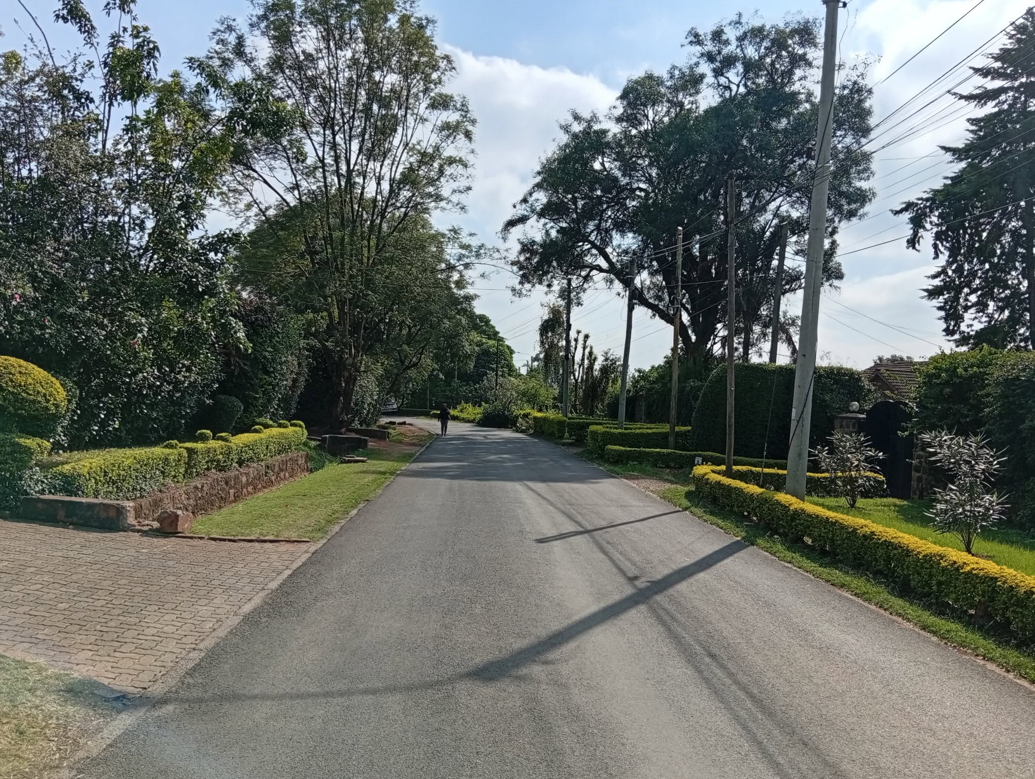 Massive 3-Bedroom Bungalow + SQ To Let in Langata
