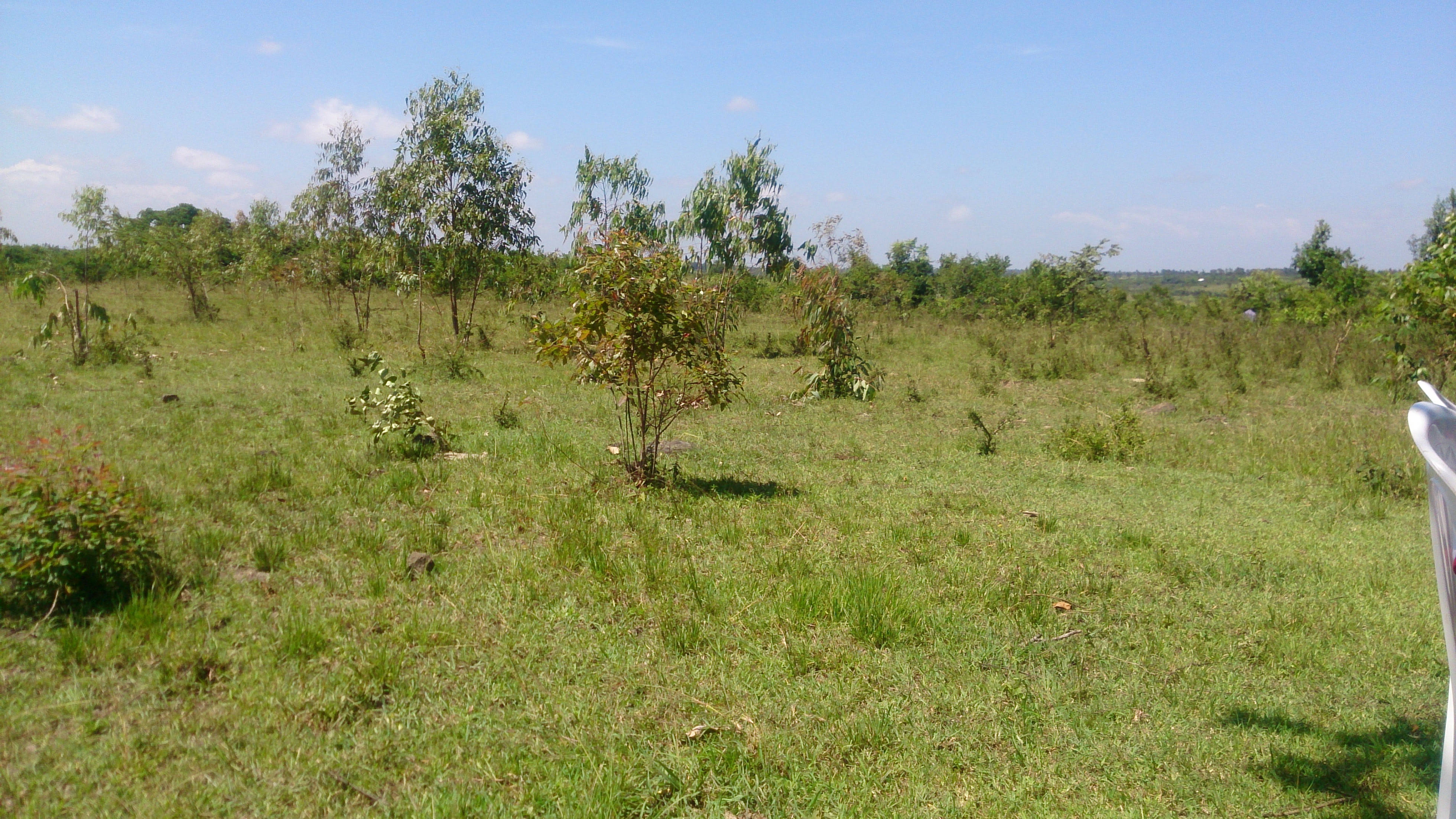 50 by 100 plot for sale in Mitubiri Wempa, Kabati Muranga