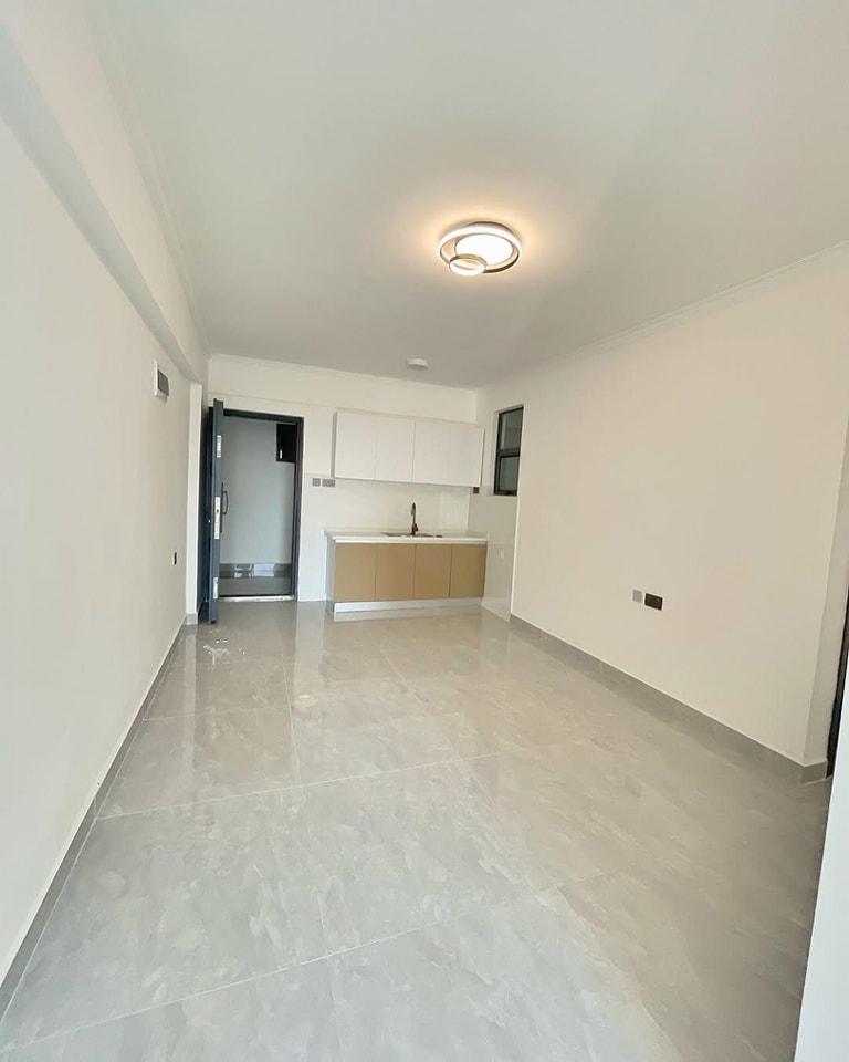 Modern 1 Bedroom Apartment To Let in Kilimani