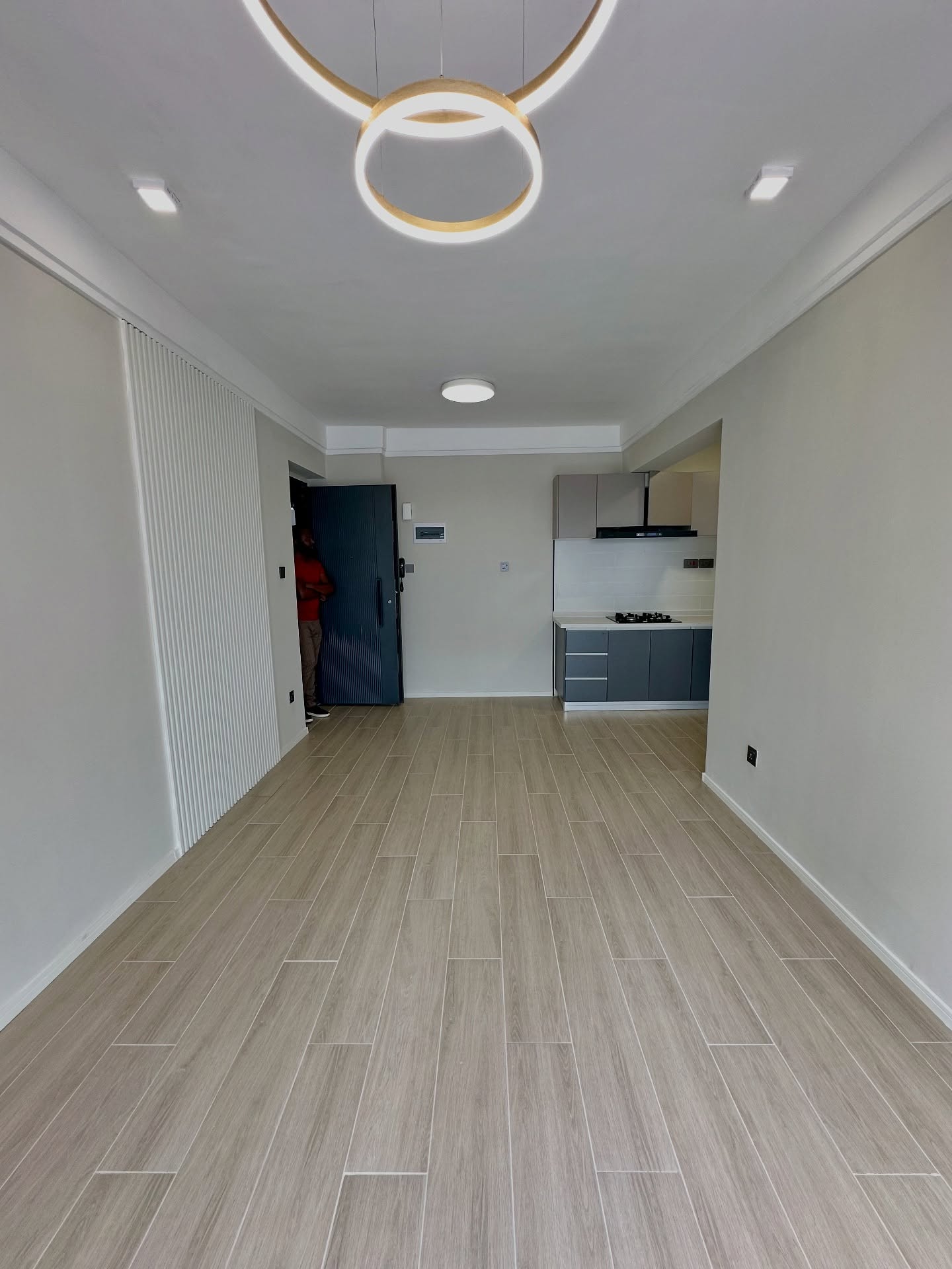 Modern 1 bedroom apartments for rent in Lavington