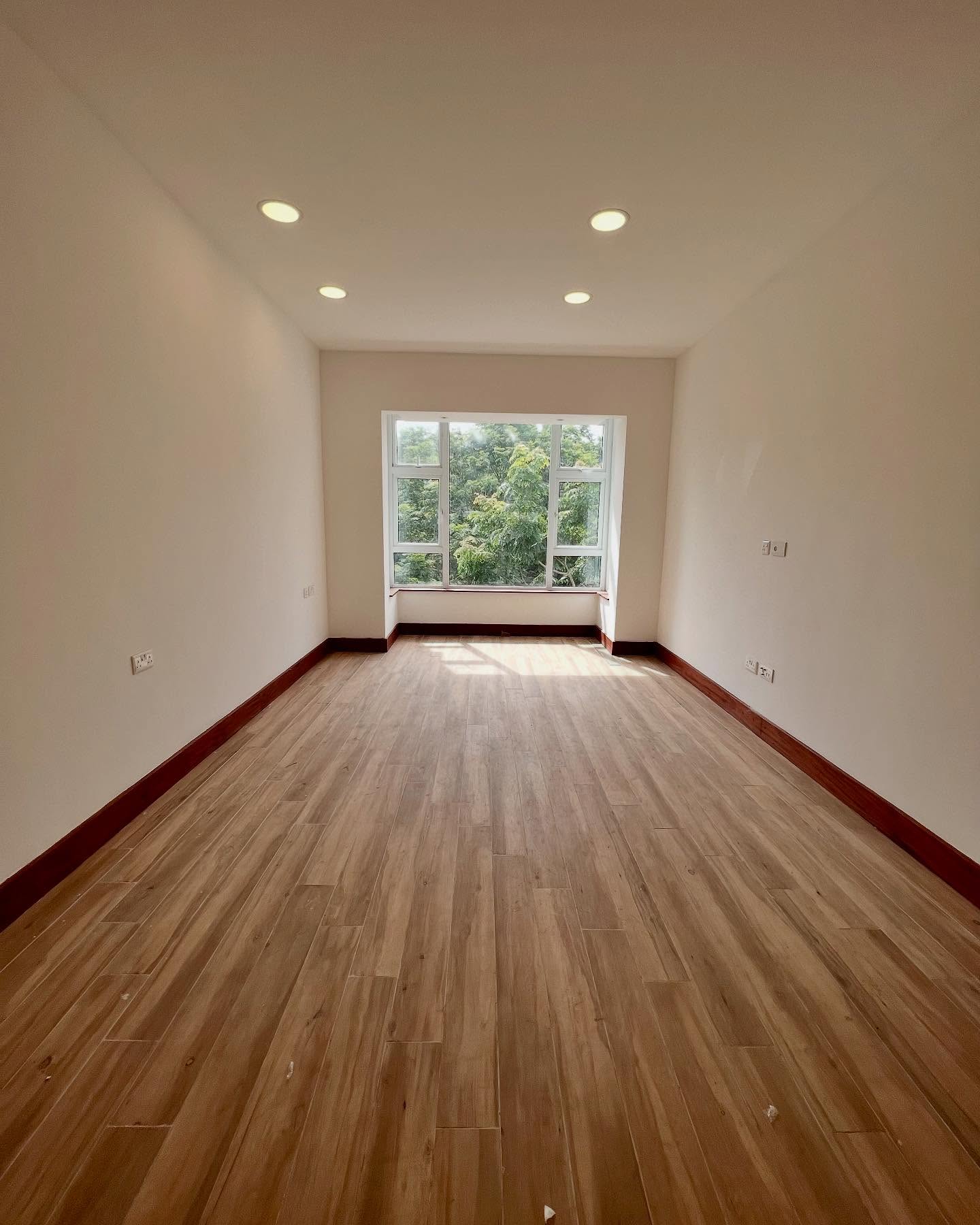 Modern 3 Bedroom Apartment Plus DSQ For Rent or Sale in Parklands with Karura Forest View Image