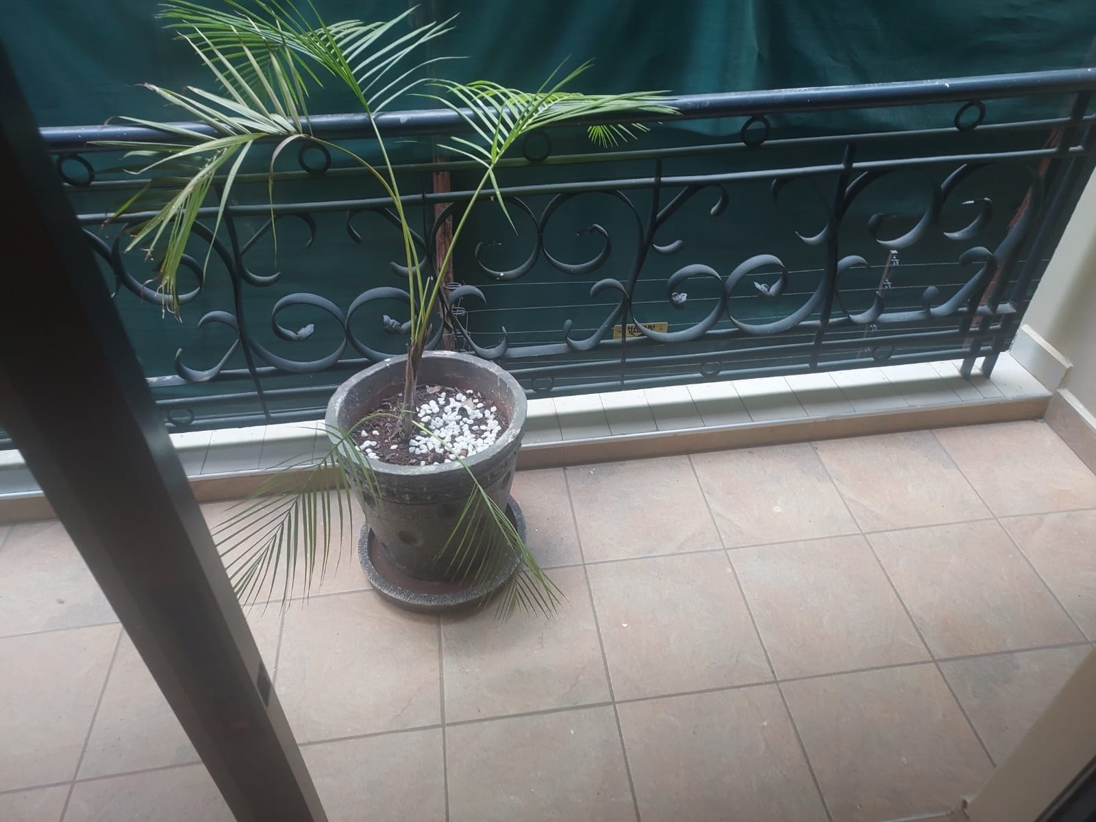 Most affordable 2 bedroom apartment to let in kileleshwa Image