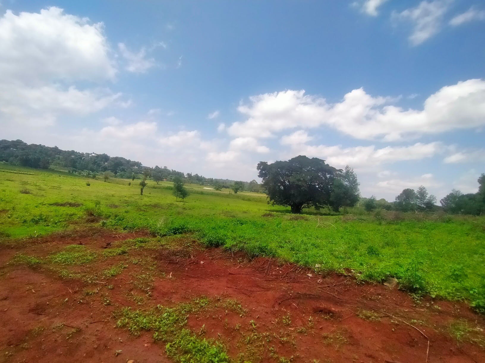 Most Affordable ⅛ Acre Plot For Sale in Kerarapon Image
