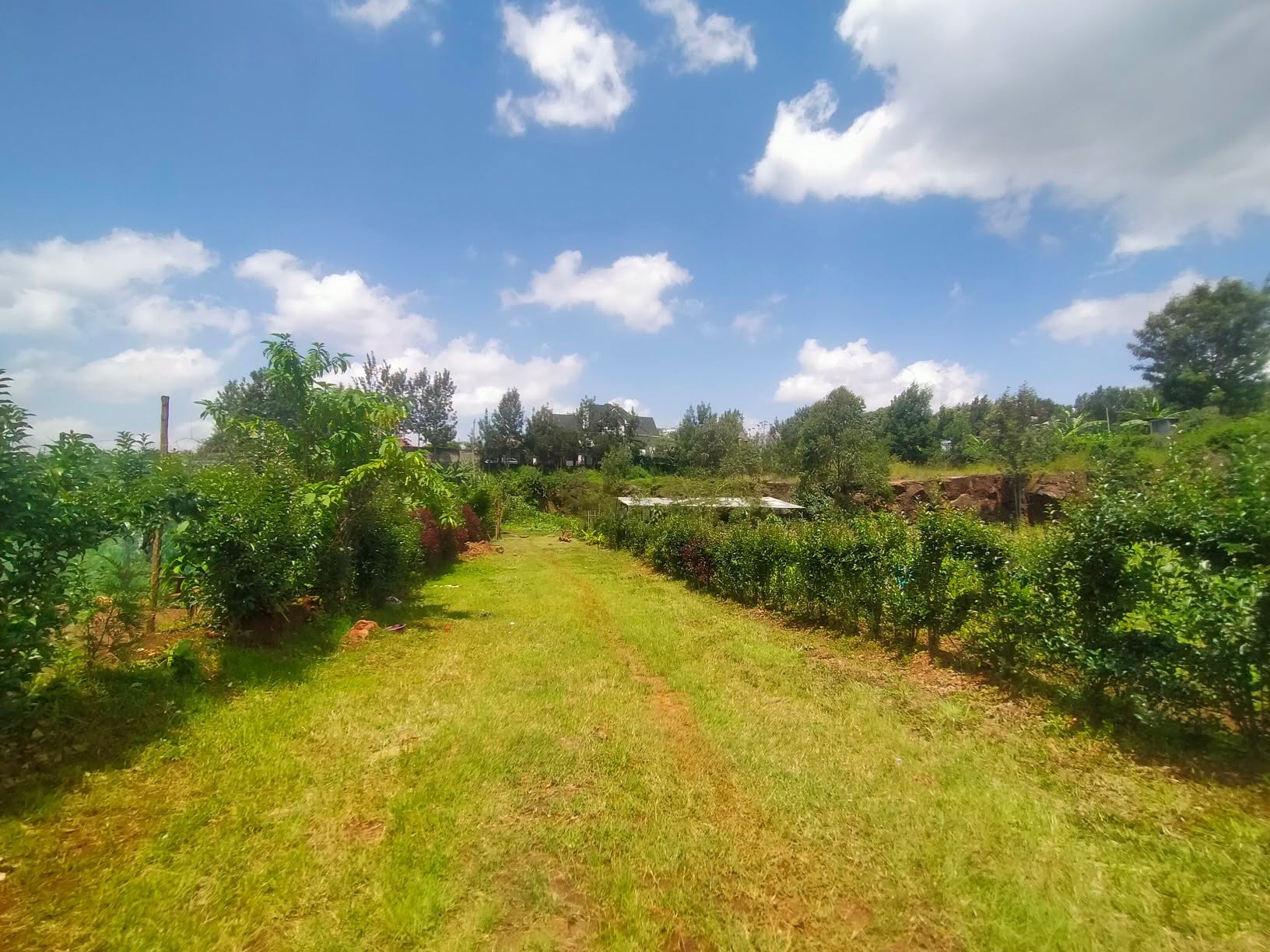Most Affordable ⅛ Acre Plot For Sale in Kerarapon
